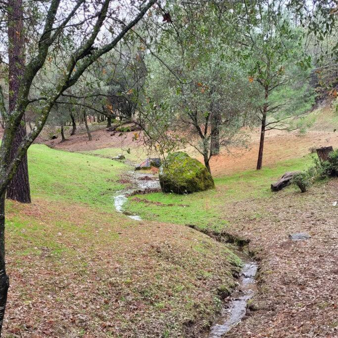 Home In Groveland Near Yosemite Np Екстер'єр фото